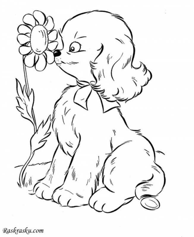 Раскраска "котята и щенята"