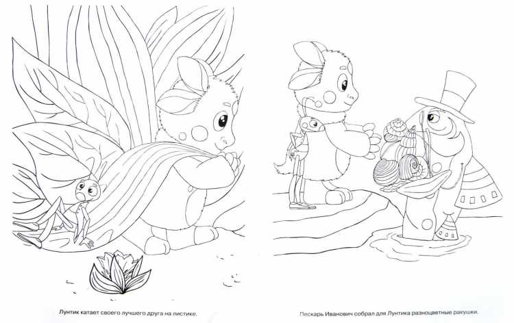 Генерал Шер раскраска