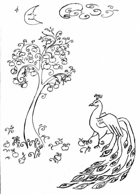 Раскраска Золотая птица