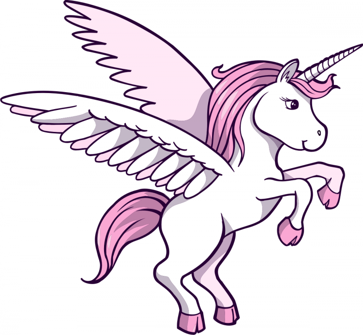 Единорожка с крыльями