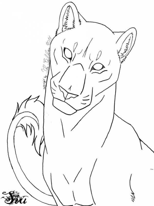 Лайны львиц с челкой