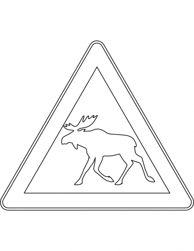 Правила поведения на природе раскраска