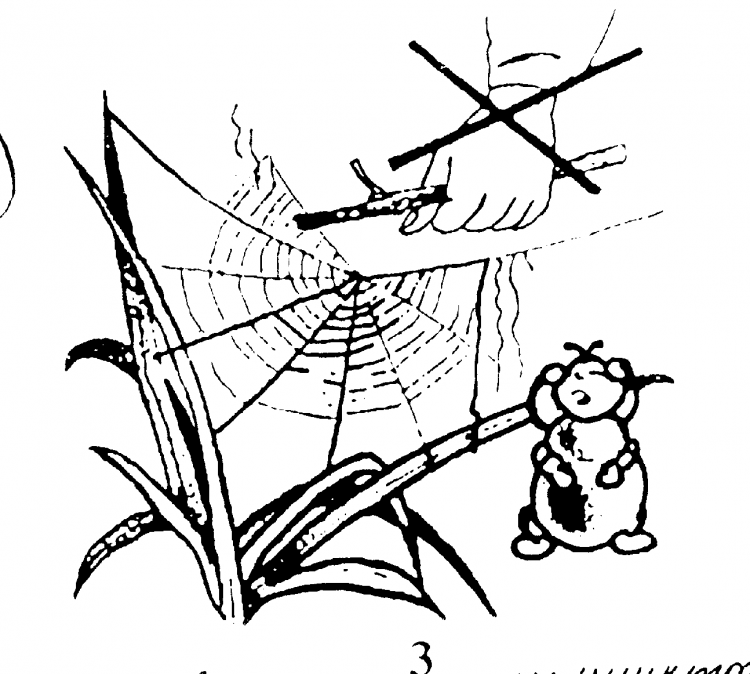 Знак перегон скота раскраска