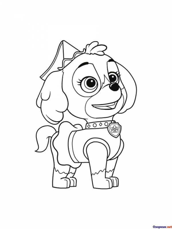 Раскраска патруль гонщик и Скай