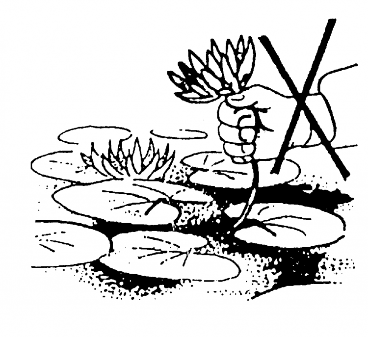 Знак рециркуляции контур