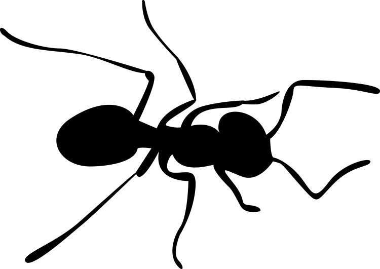 Раскраска Пчелка Майя флипп