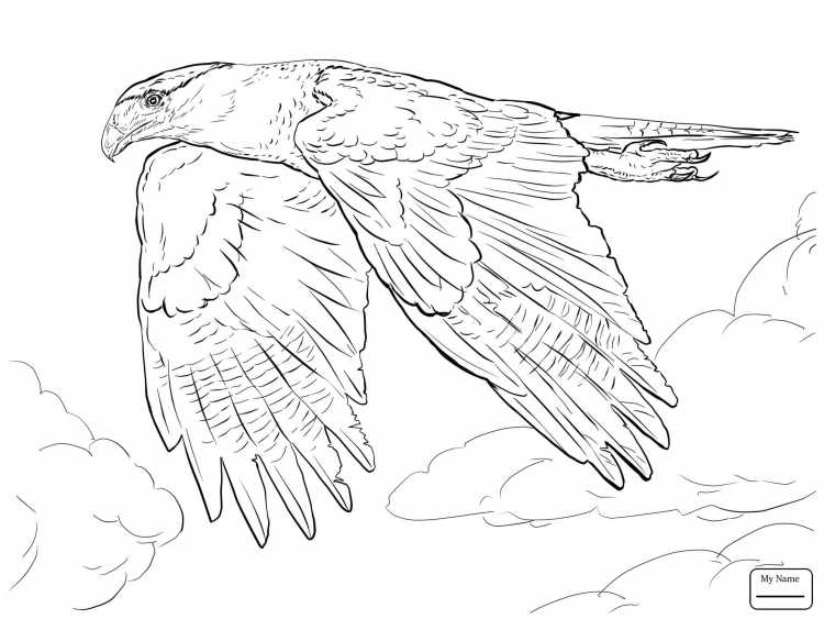 Перо Финиста ясна Сокола сказка