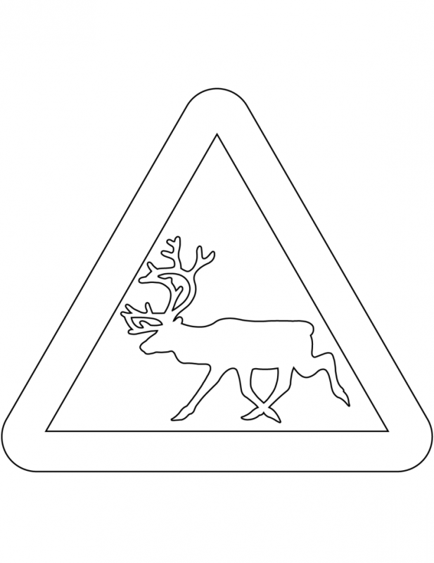 Знаки поведения в природе