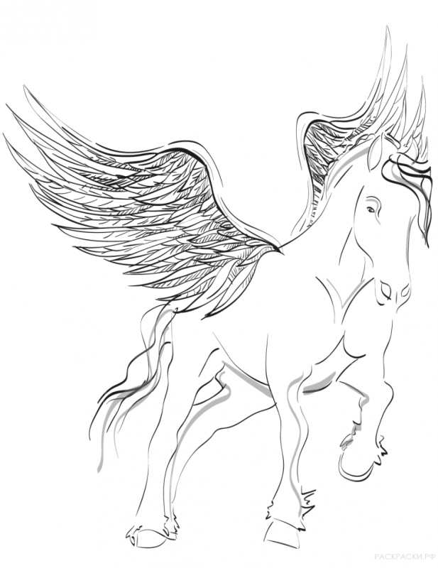 Нарисовать лошадь с крыльями