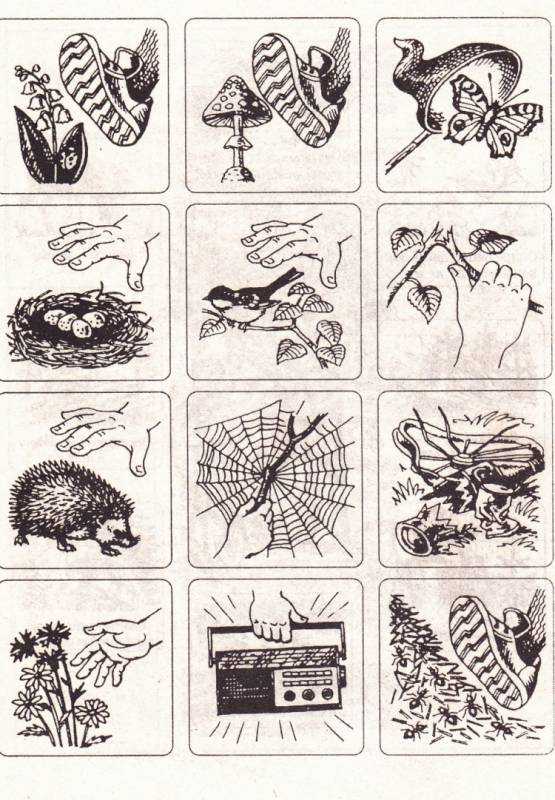 Раскраска правила поведения вприролде