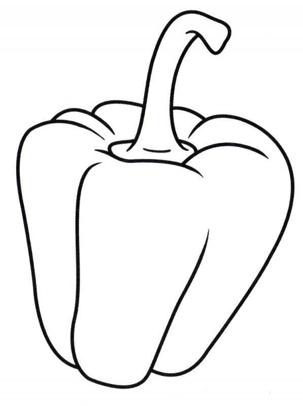 Перец набросок