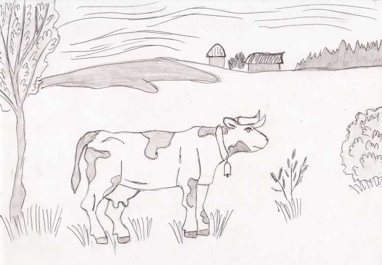 Родной край рисунок карандашом