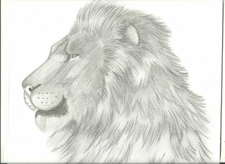 Хроники Нарнии раскраска