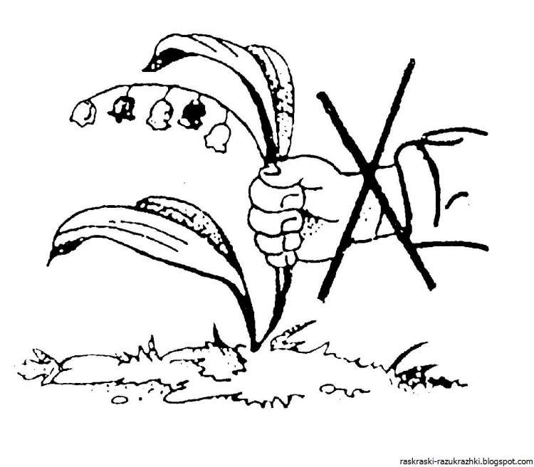 Раскраски по теме экология для детей