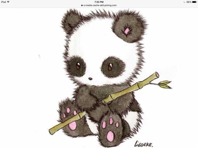 Панда черно белая