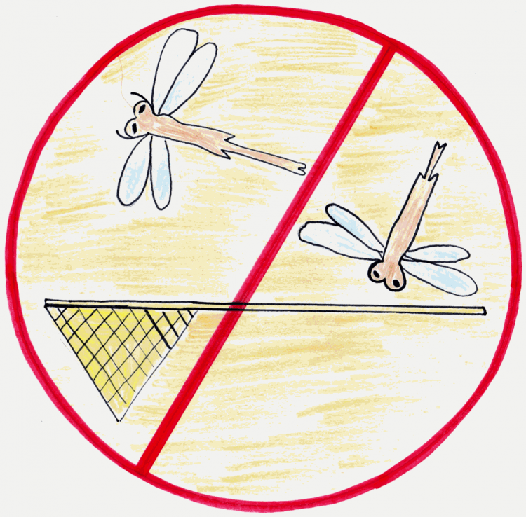 Не разорять птичьи гнезда знак