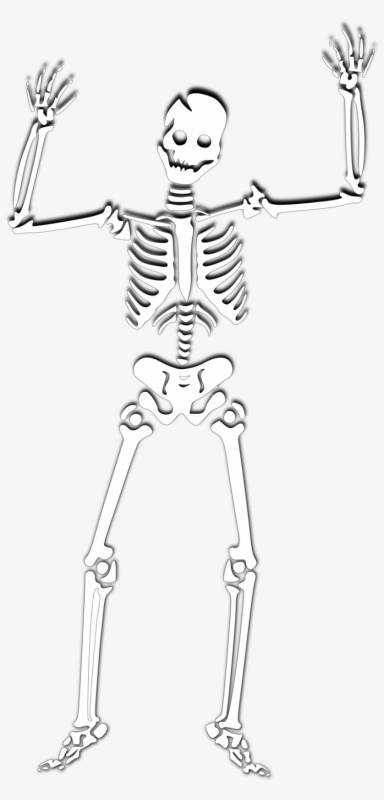 Скелет рисунок легкий