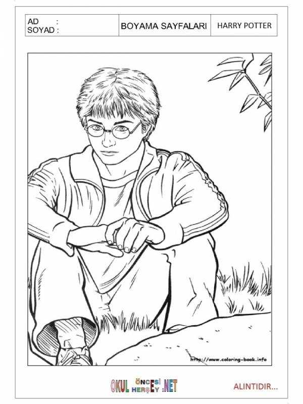 Раскраска Гарри Поттер и орден Феникса