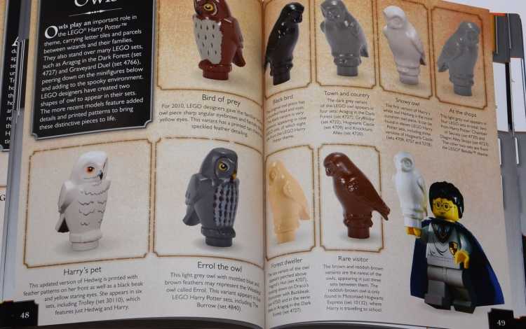 Раскраска Гарри Поттер