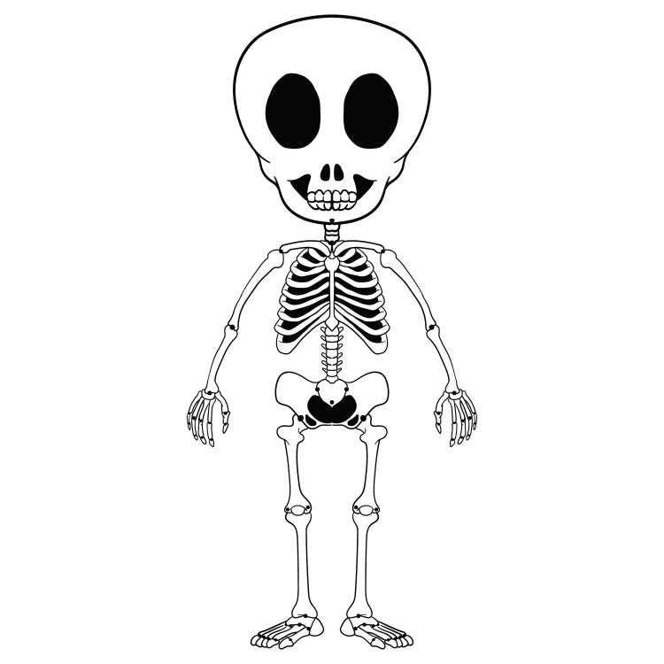 Раскраска скелет