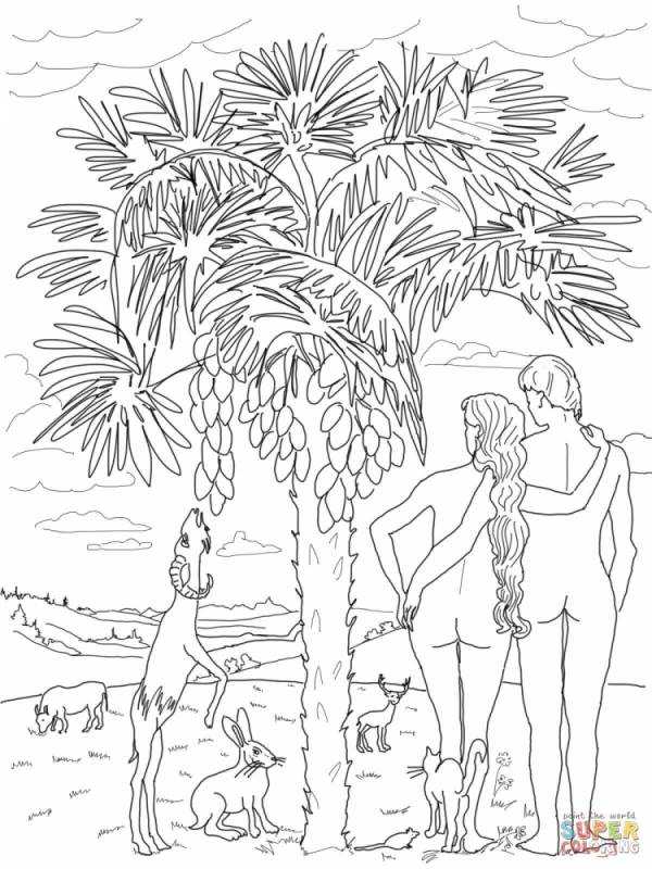 Детские раскраски Сотворение мира