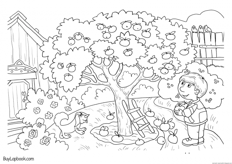 Раскраска домик у речки