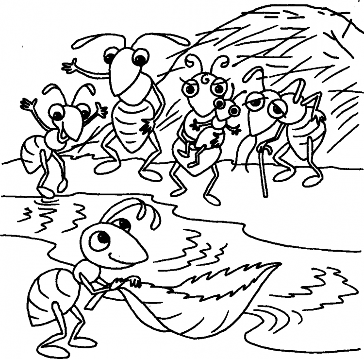 Стрекоза раскраска для детей