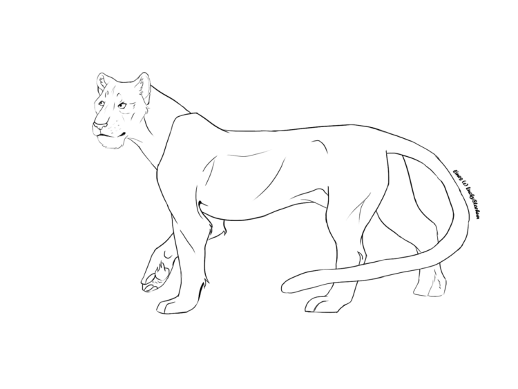 Лайны львиц референсы