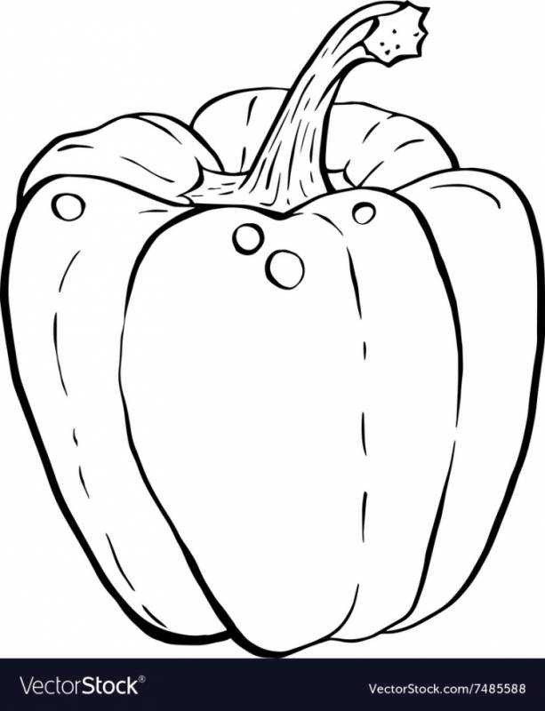 Раскраски овощи перец