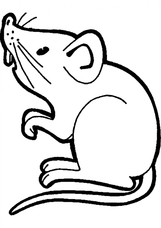Мышь раскраска для детей
