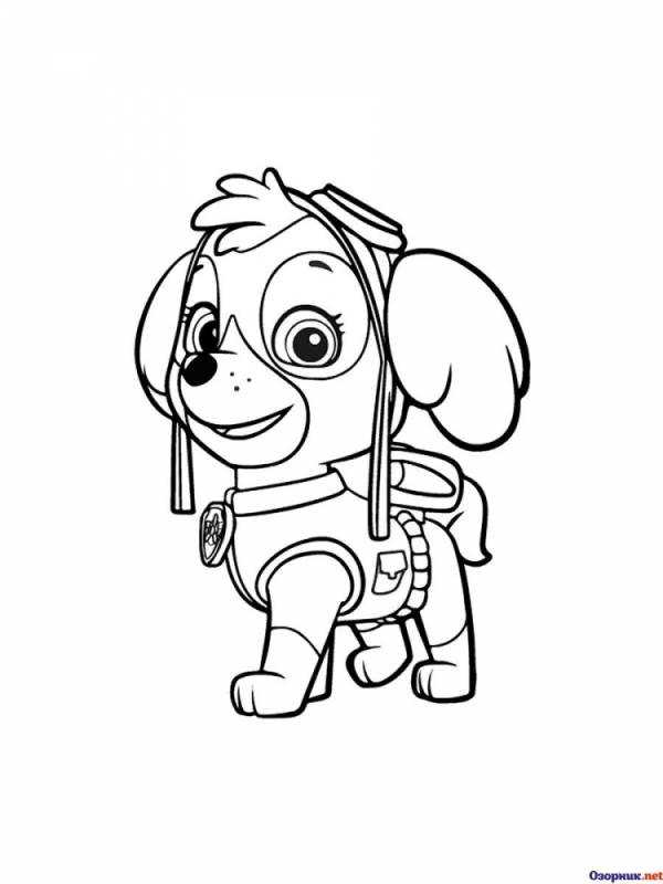 Скай раскраска Щенячий патруль