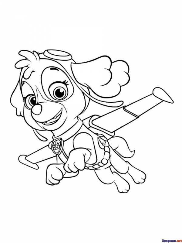 Paw Patrol раскраска Скай
