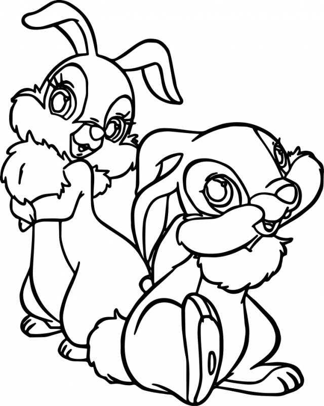 Раскраска французский бульдог маленький