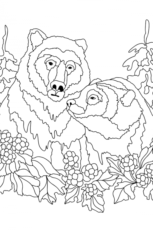 Лиса и медведь раскраска