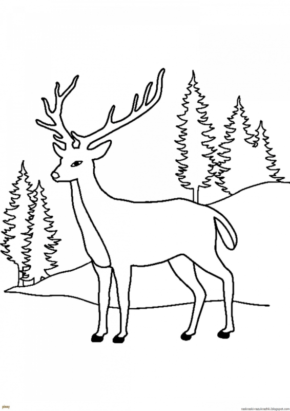 Олень раскраска