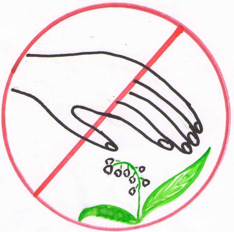 Придумай и Нарисуй экологические знаки