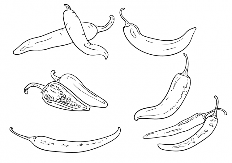 Раскраска овощи на грядке