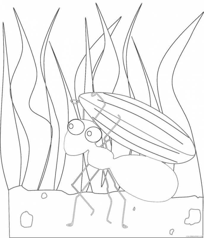 Муравей раскраска для детей
