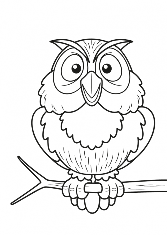 Умная Сова раскраска
