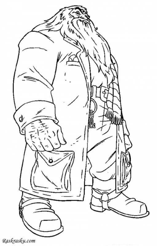 Раскраска герои Гарри Поттера