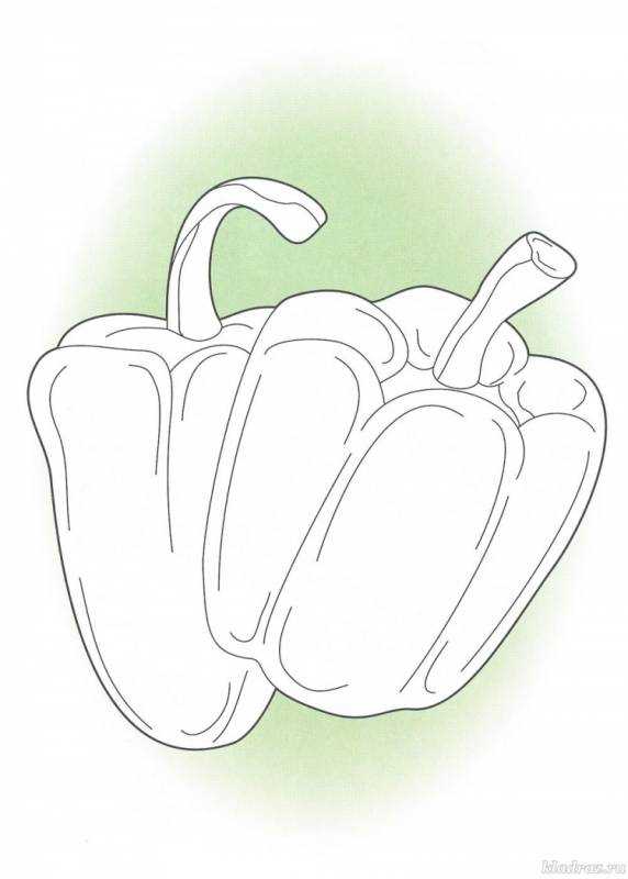 Перец сладкий контур