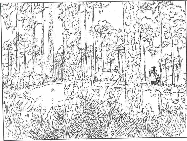 Сосновый лес раскраска