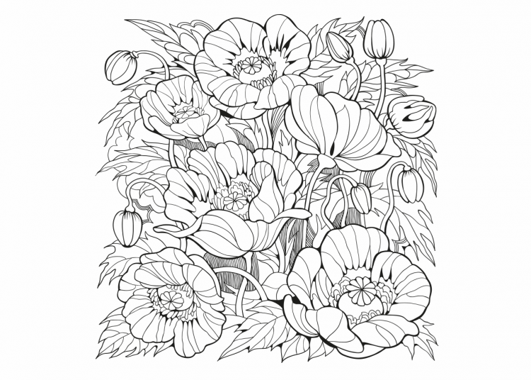 Роза раскраска