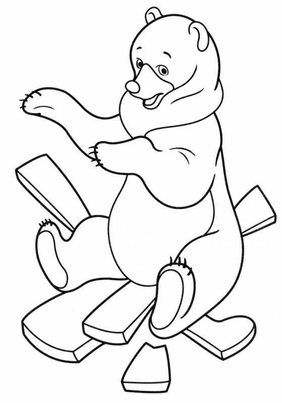 Бурый медведь раскраска для детей цветная