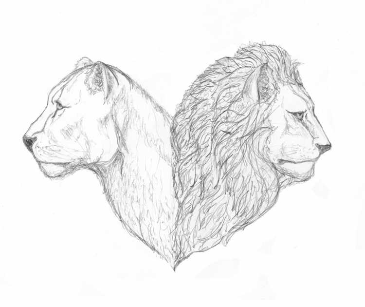 Раскраска Король Лев Киара