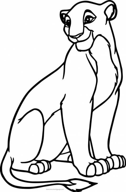 Раскраска Король Лев Киара