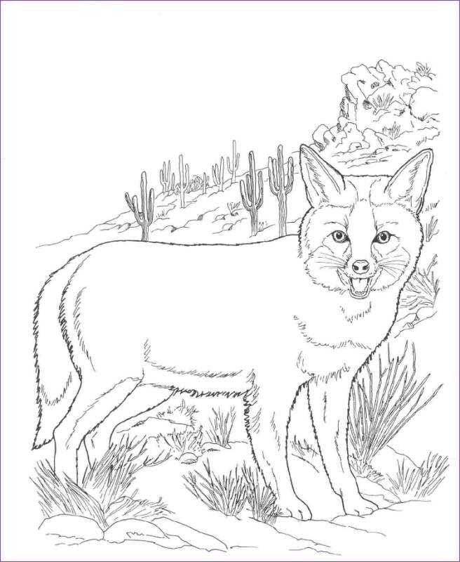 Раскраски животные лиса