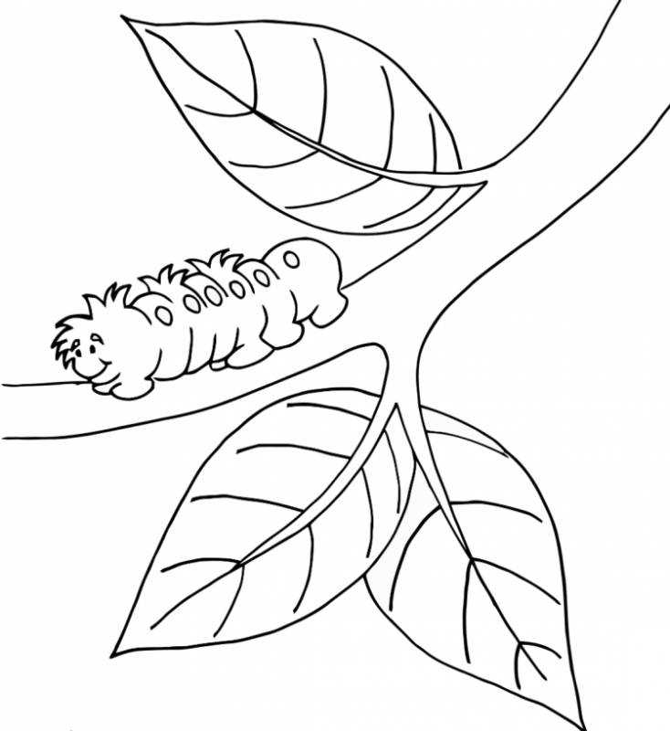 Ветка раскраска для детей