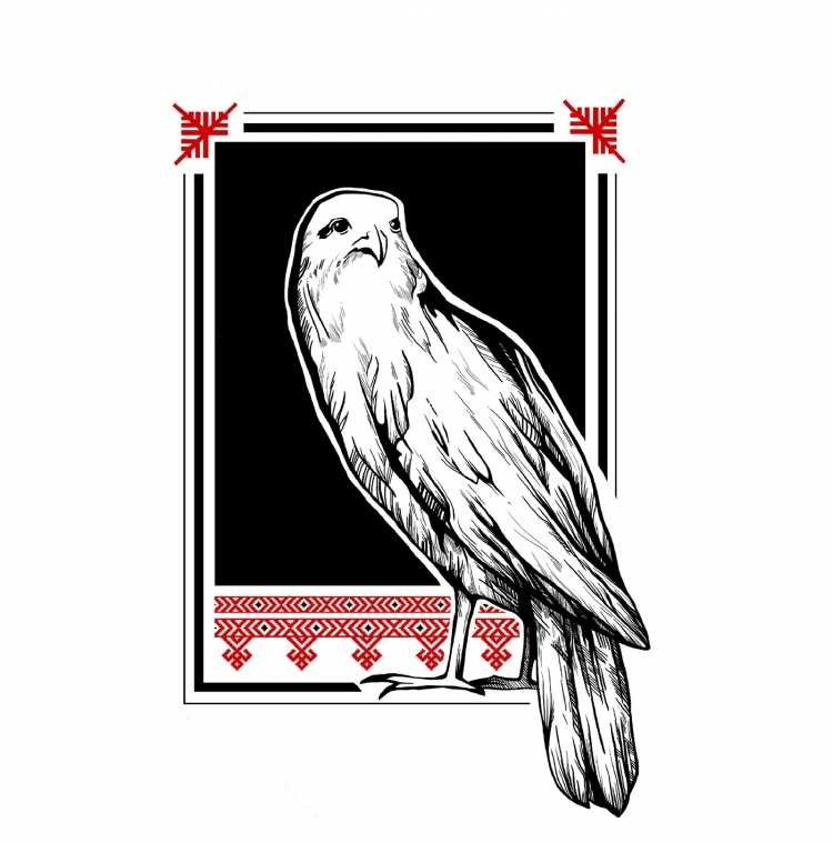 Сокол эскиз