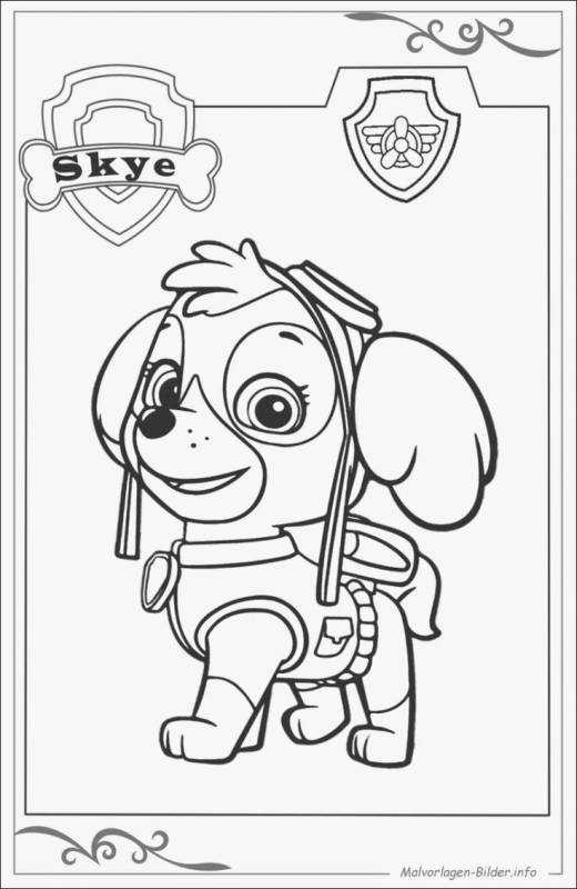 Paw Patrol раскраска Скай